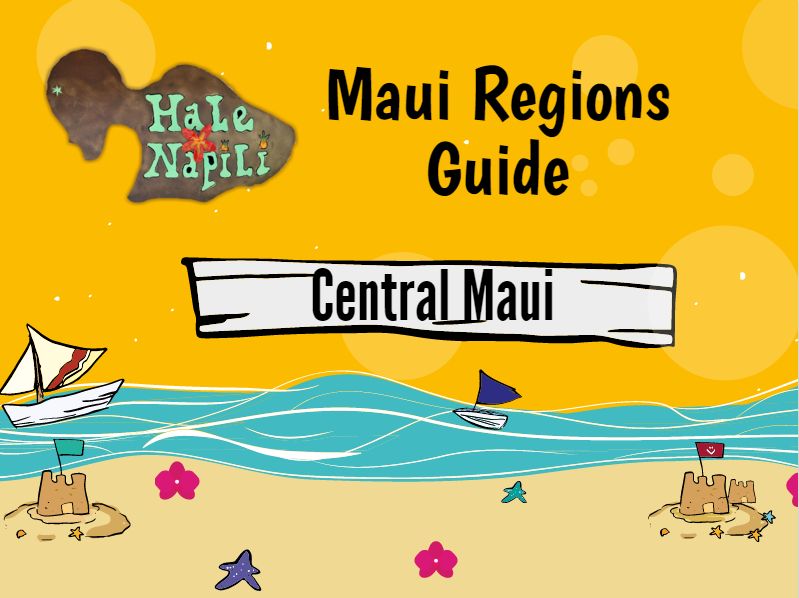 Central Maui Info Graphic
